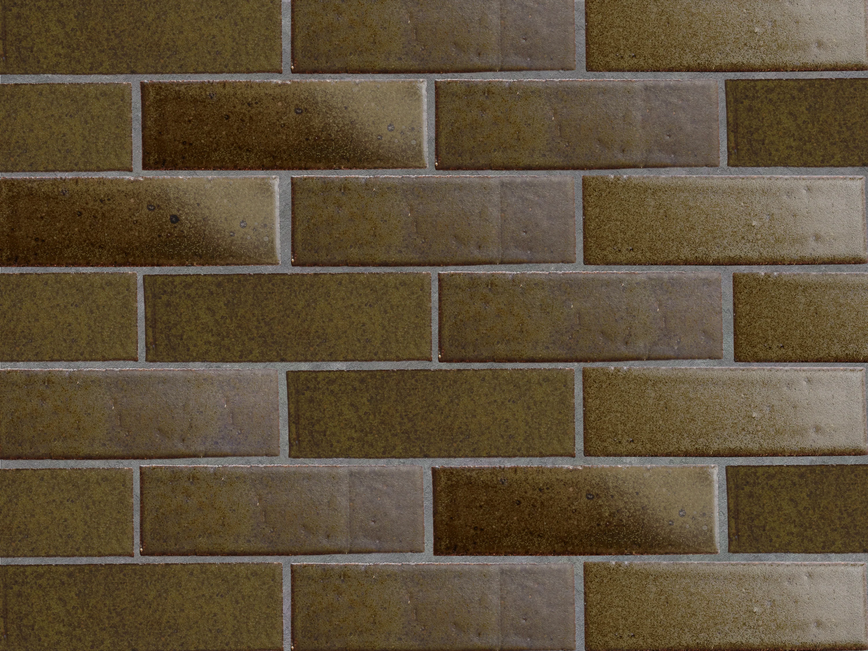 clé guild | new california | bracken ~ 2½"x8"x½" - Image 3